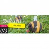 Eugy 073 - Bumblebee - EUG-5313973 - dodoland - Maquettes en carton - Le Nuage de Charlotte