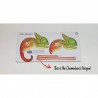 Eugy 075 - Cameleon - EUG-5313975 - dodoland - Maquettes en carton - Le Nuage de Charlotte