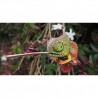 Eugy 075 - Chameleon - EUG-5313975 - dodoland - Maquettes en carton - Le Nuage de Charlotte