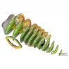 Eugy 075 - Chameleon - EUG-5313975 - dodoland - Maquettes en carton - Le Nuage de Charlotte