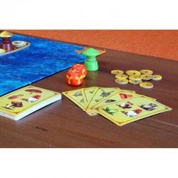 Dragon Market - BOR-0901 - Blue Orange - Board Games - Le Nuage de Charlotte