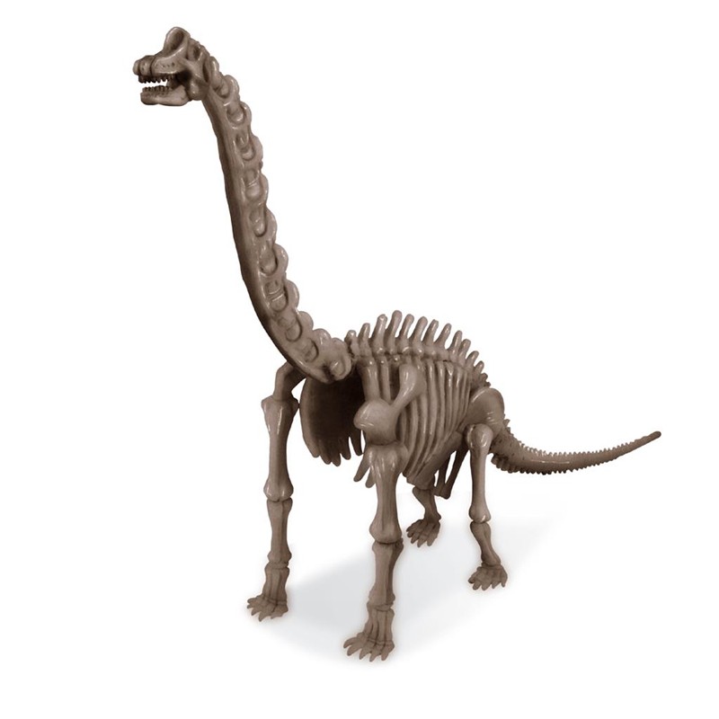 KidzLabs - Déterre ton dino Brachiosaure - 4M-5663237 - 4M - Coffrets éducatifs - Le Nuage de Charlotte