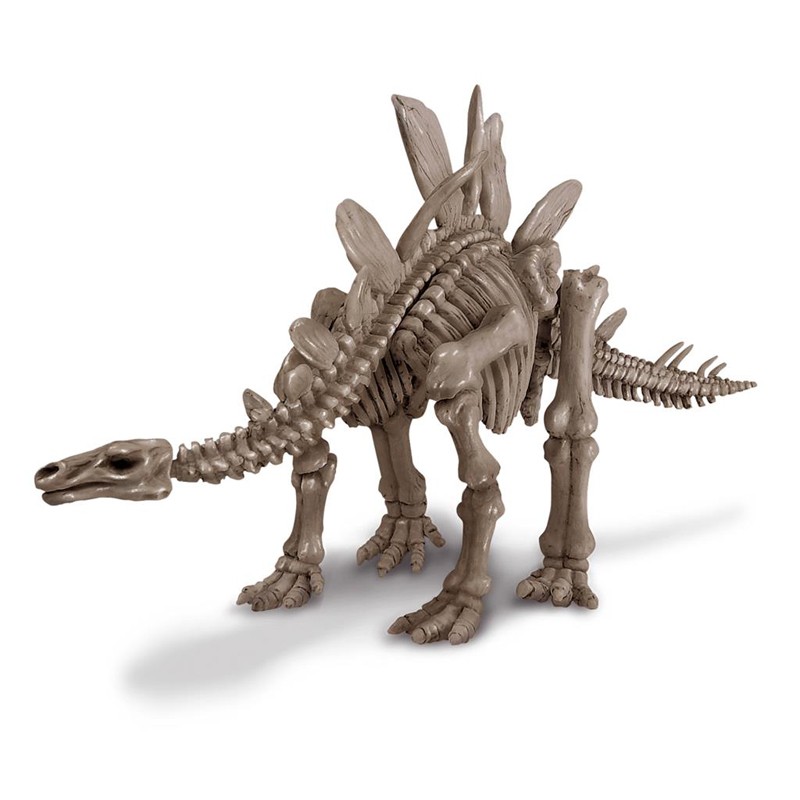 KidzLabs - Dig a Dino - Stegosaur - 4M-5663229 - 4M - Educational kits - Le Nuage de Charlotte