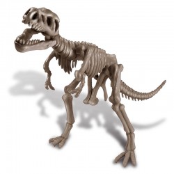 KidzLabs - Dig a Dino - T-Rex - 4M-5663221 - 4M - Educational kits - Le Nuage de Charlotte