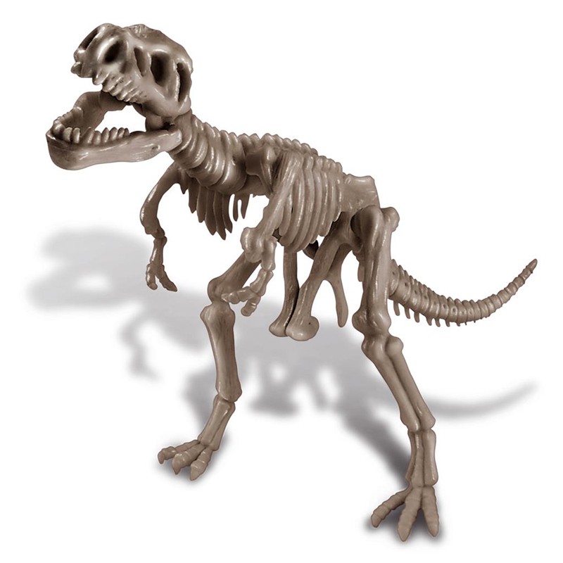 KidzLabs - Déterre ton dino T-Rex - 4M-5663221 - 4M - Coffrets éducatifs - Le Nuage de Charlotte