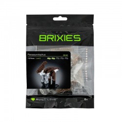 Brixies - Parasaurolophus - BXS-200.081 - Brixies - Brixies - Le Nuage de Charlotte