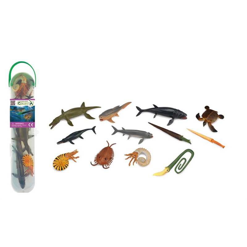 CollectA Box of Mini Prehistoric Marine Animals - COL-A1104 - CollectA - Figures and accessories - Le Nuage de Charlotte