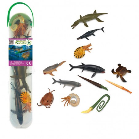 CollectA Boîte de Mini Animaux Marin Prehistorique - COL-A1104 - CollectA - Figurines et accessoires - Le Nuage de Charlotte