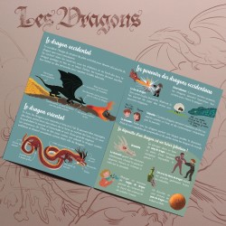 KIT : Les dragons - LAI-DRAGONS22 - L'atelier Imaginaire - Boîtes créative - Le Nuage de Charlotte