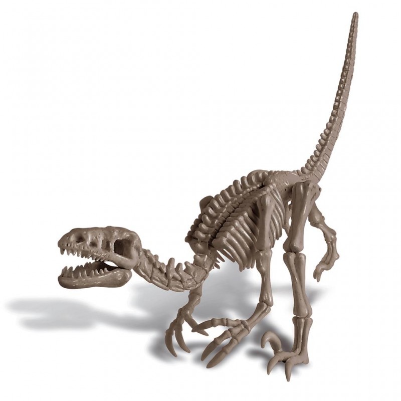 KidzLabs - Déterre ton dino Velociraptor - 4M-5663234 - 4M - Coffrets éducatifs - Le Nuage de Charlotte