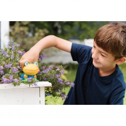 KidzMaker - Grenouille de Jardin - 4M-5604782 - 4M - Moulages en plâtres - Le Nuage de Charlotte