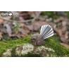 Eugy 002 - Fantail - EUG-5313902 - dodoland - Maquettes en carton - Le Nuage de Charlotte