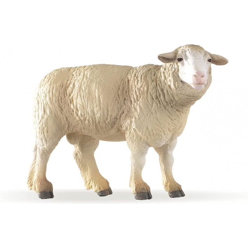 Merinos sheep - PAPO-rro-51041 - Papo - Figures and accessories - Le Nuage de Charlotte