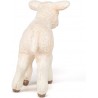 Merinos lamb - PAPO-rbl-51047 - Papo - Figures and accessories - Le Nuage de Charlotte