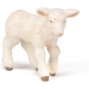 Merinos lamb - PAPO-rbl-51047 - Papo - Figures and accessories - Le Nuage de Charlotte