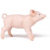 Cochonnet femelle - PAPO-rbl-51136 - Papo - Figurines et accessoires - Le Nuage de Charlotte