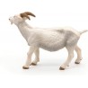 White nanny goat - PAPO-rro-51144 - Papo - Figures and accessories - Le Nuage de Charlotte