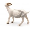 White nanny goat - PAPO-rro-51144 - Papo - Figures and accessories - Le Nuage de Charlotte