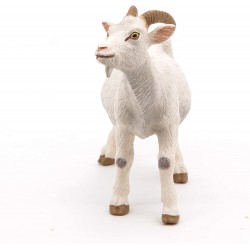 White nanny goat - PAPO-rro-51144 - Papo - Figures and accessories - Le Nuage de Charlotte