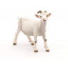 White nanny goat - PAPO-rro-51144 - Papo - Figures and accessories - Le Nuage de Charlotte