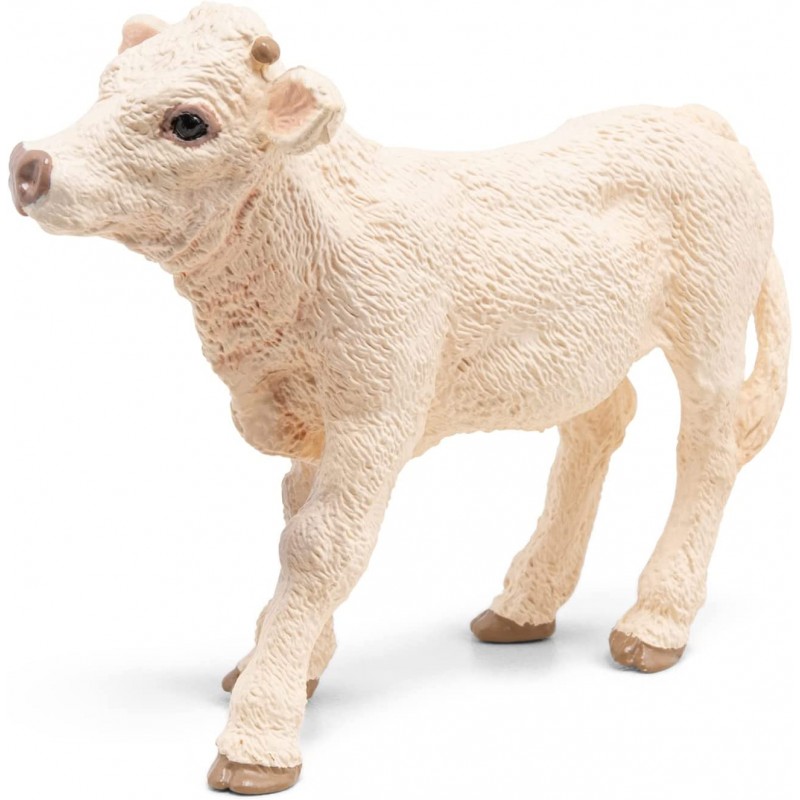 Veau Charolais - PAPO-rro-51157 - Papo - Figurines et accessoires - Le Nuage de Charlotte