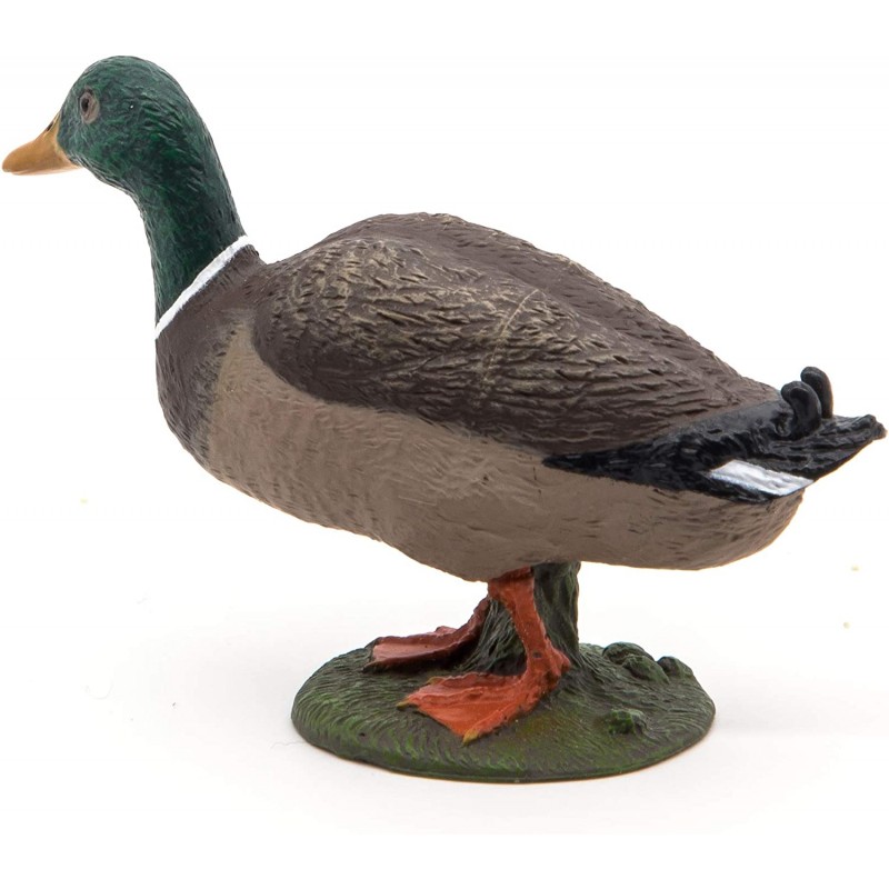 Canard colvert - PAPO-rbl-51155 - Papo - Figurines et accessoires - Le Nuage de Charlotte