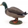 Mallard duck - PAPO-rbl-51155 - Papo - Figures and accessories - Le Nuage de Charlotte