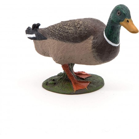 Canard colvert - PAPO-rbl-51155 - Papo - Figurines et accessoires - Le Nuage de Charlotte