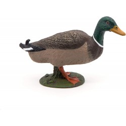 Mallard duck - PAPO-rbl-51155 - Papo - Figures and accessories - Le Nuage de Charlotte