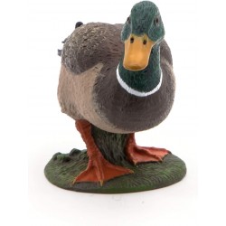 Canard colvert - PAPO-rbl-51155 - Papo - Figurines et accessoires - Le Nuage de Charlotte