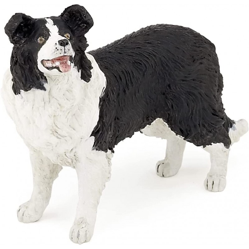 Border collie accessories best sale