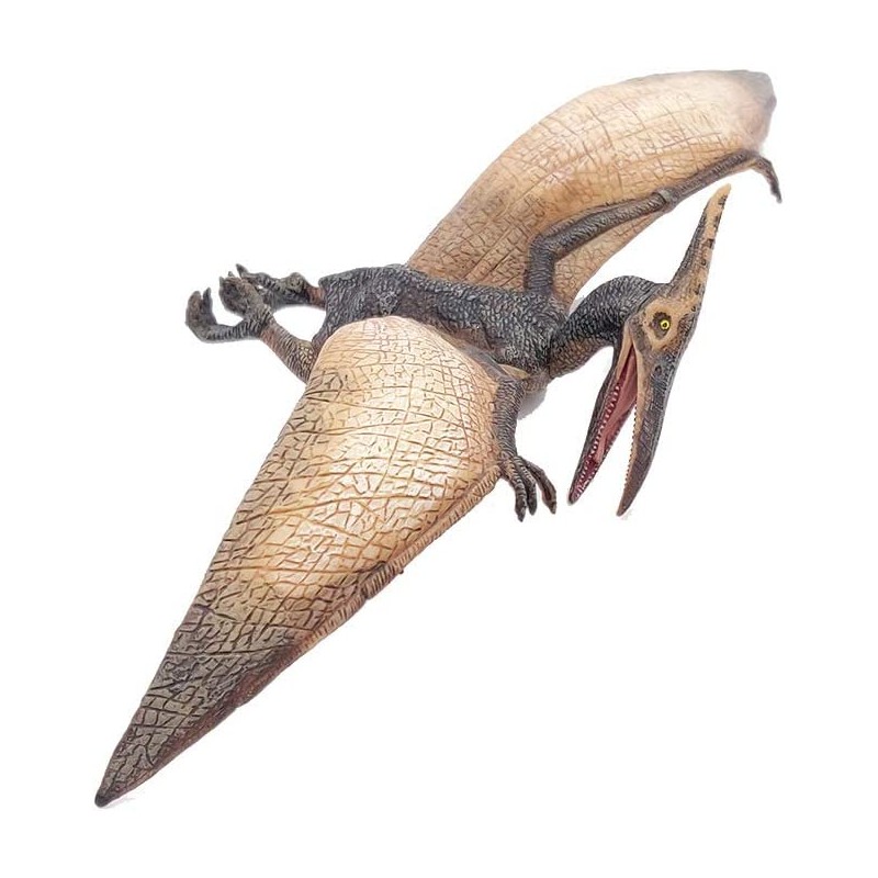 Pteranodon - PAPO-55006 - Papo - Figurines et accessoires - Le Nuage de Charlotte