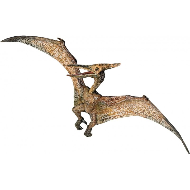 Pteranodon - PAPO-55006 - Papo - Figurines et accessoires - Le Nuage de Charlotte