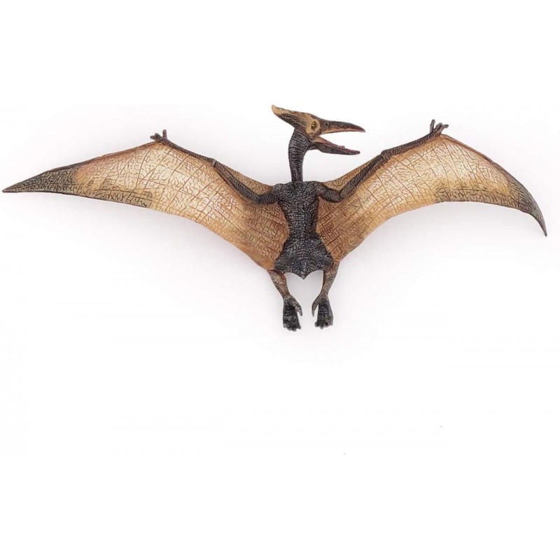 Pteranodon - PAPO-55006 - Papo - Figurines et accessoires - Le Nuage de Charlotte