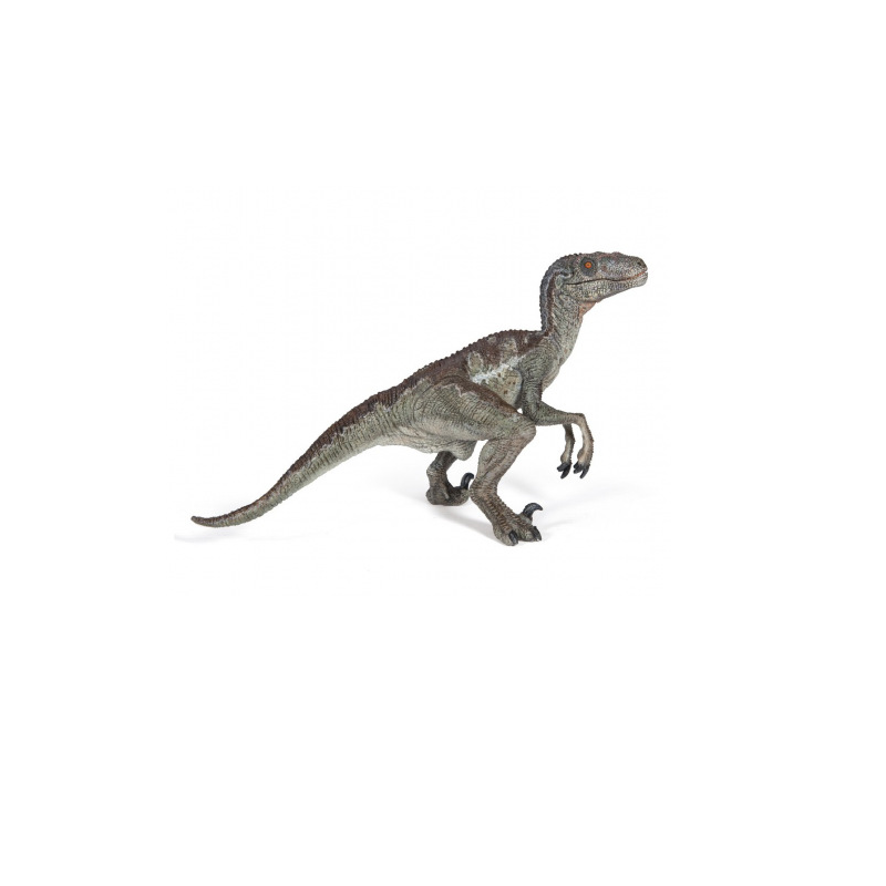 Vélociraptor - PAPO-55023 - Papo - Figurines et accessoires - Le Nuage de Charlotte