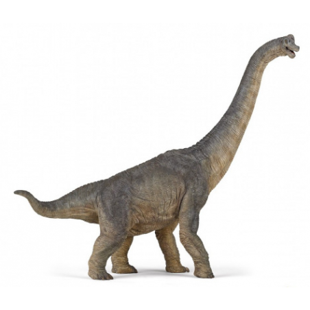 Brachiosaure - PAPO-55030 - Papo - Figurines et accessoires - Le Nuage de Charlotte