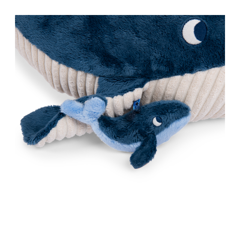 Les Aventures de Paulie - Great Activity Whale - MRY-676075 - Moulin Roty - Activity Toys - Le Nuage de Charlotte