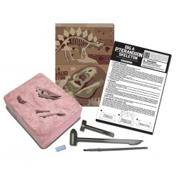 KidzLabs - Dig a Dino - Pteranodon - 4M-5603459 - 4M - Educational kits - Le Nuage de Charlotte