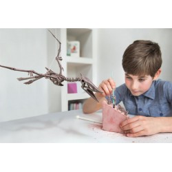 KidzLabs - Dig a Dino - Pteranodon - 4M-5603459 - 4M - Educational kits - Le Nuage de Charlotte