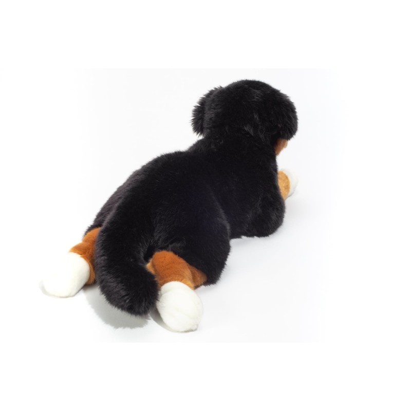 Bernese mountain dog lying down - HER-919407 - Hermann Teddy Original - And the others... - Le Nuage de Charlotte