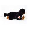 Bernese mountain dog lying down - HER-919407 - Hermann Teddy Original - And the others... - Le Nuage de Charlotte