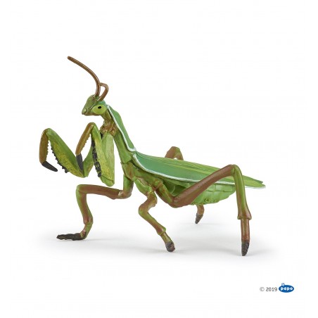 Praying mantis - PAPO-rve-50244 - Papo - Figures and accessories - Le Nuage de Charlotte