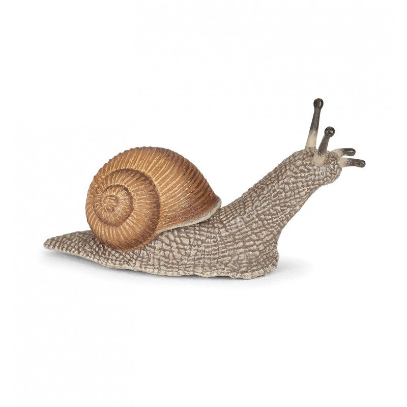 Escargot - PAPO-rve-50262 - Papo - Figurines et accessoires - Le Nuage de Charlotte