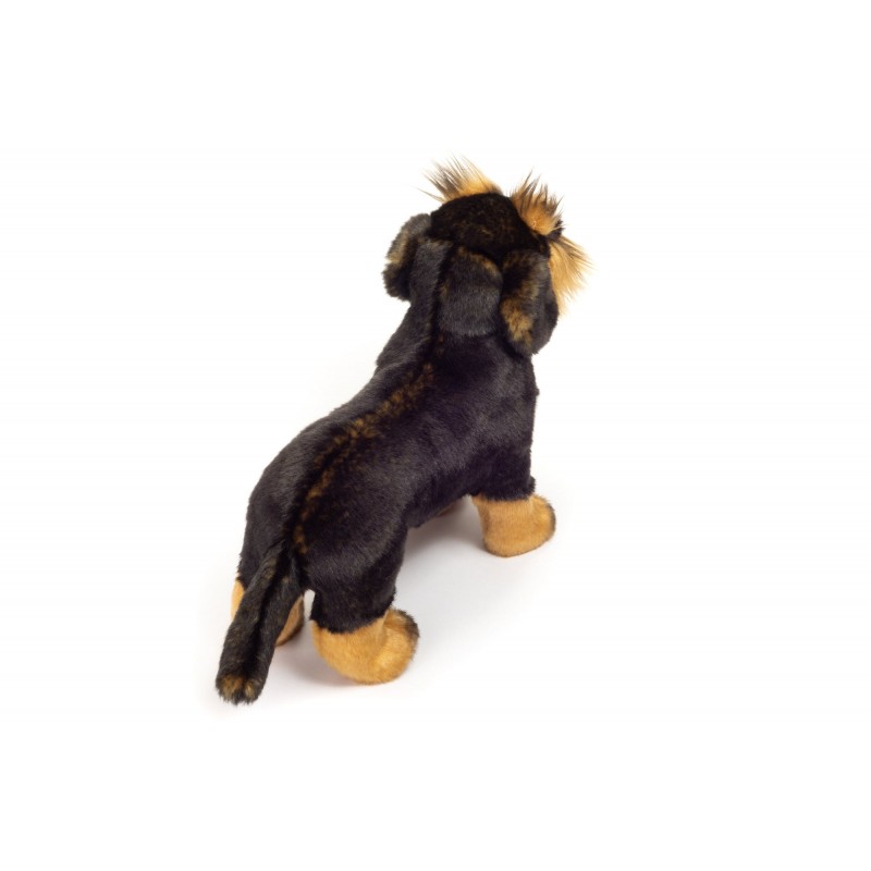 Standing dachshund - HER-91923 0 - Hermann Teddy Original - And the others... - Le Nuage de Charlotte