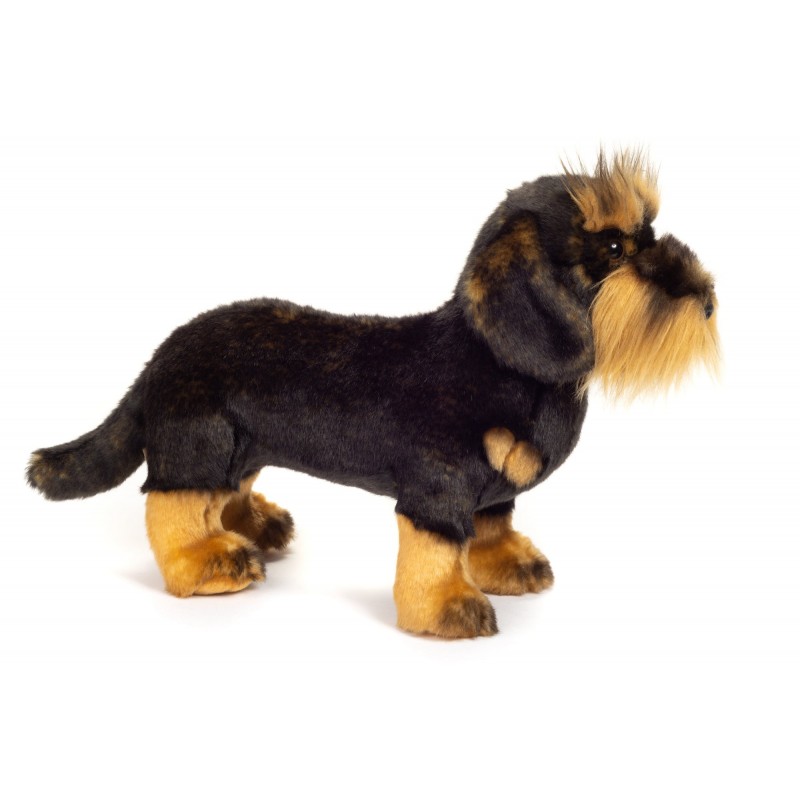 Standing dachshund - HER-91923 0 - Hermann Teddy Original - And the others... - Le Nuage de Charlotte