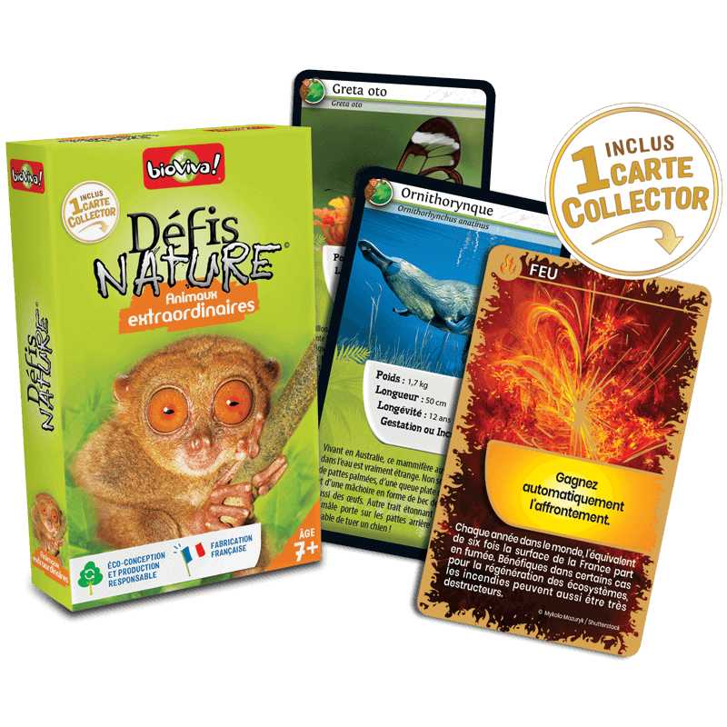 Défis Nature - Animaux extraordinaires - BIOV-15130 - BioViva - Board Games - Le Nuage de Charlotte