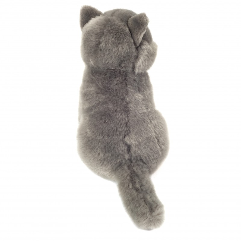 Carthusian cat - HER-918257 - Hermann Teddy Original - And the others... - Le Nuage de Charlotte