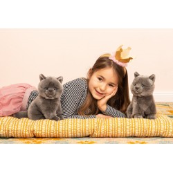 Chat chartreux - HER-918257 - Hermann Teddy Original - Et toutes les autres... - Le Nuage de Charlotte