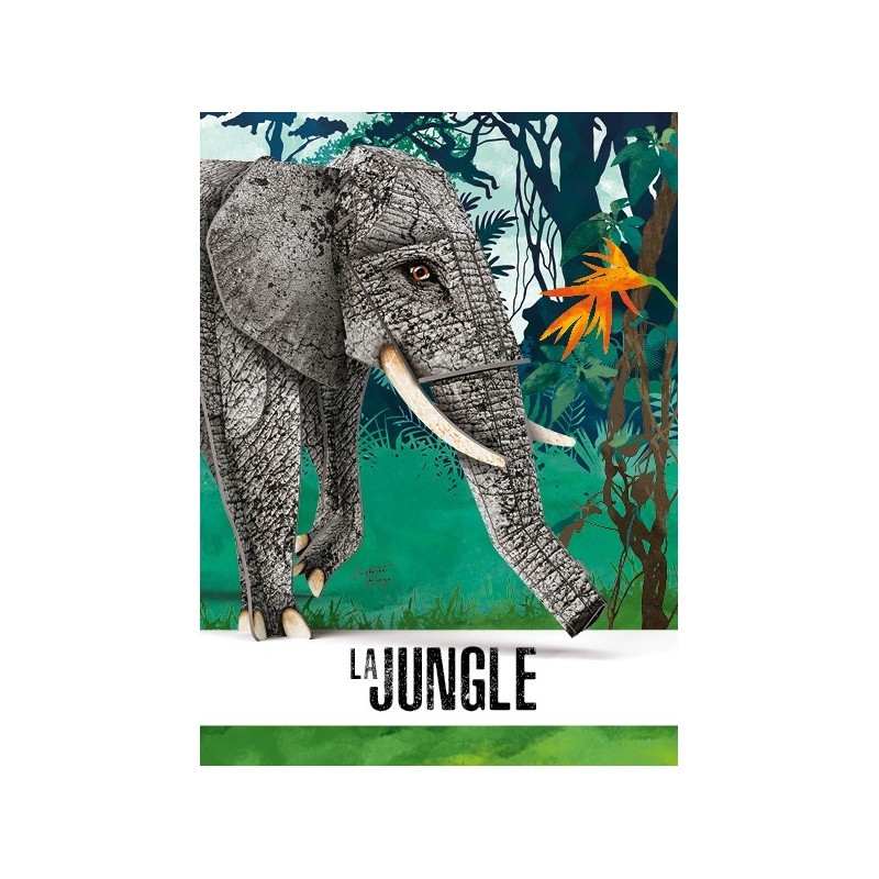 L'éléphant 3D. La jungle. Une biodiversité extraordinaire - SASSI-9788830302723 - Sassi - Documentaires - Le Nuage de Charlotte