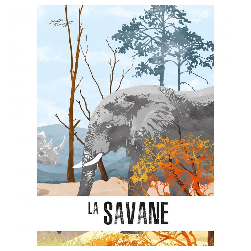 La savane. Le lion 3D - SASSI-9788868609672 - Sassi - Documentaires - Le Nuage de Charlotte